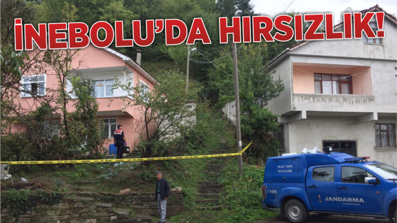 Köylerdeki boş evlere giren hırsız yakalanarak tutuklandı