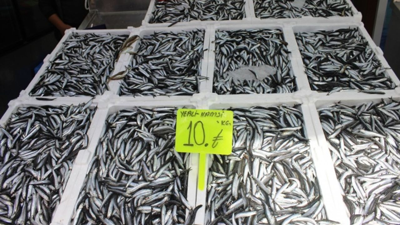 Hamsi bollaşınca fiyatı 25 TL'den 10 TL'ye düştü