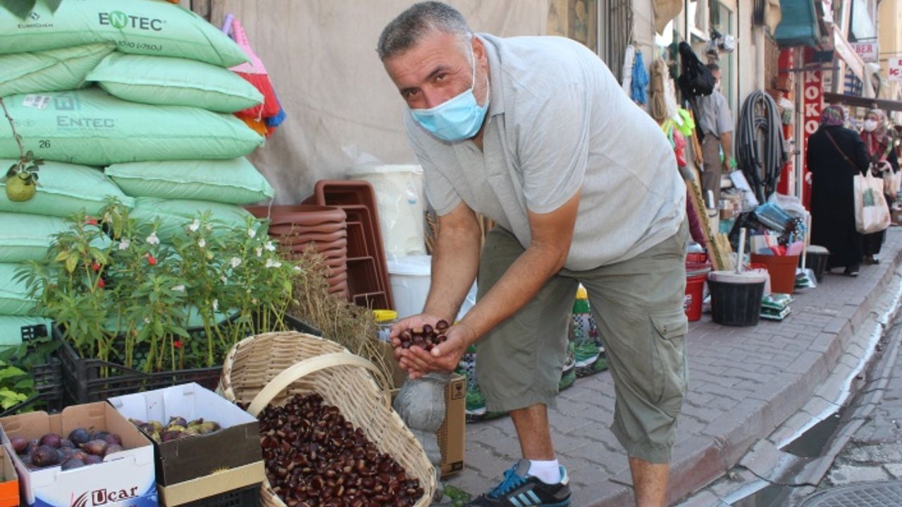 Kışın habercisi yerli kestane çıktı