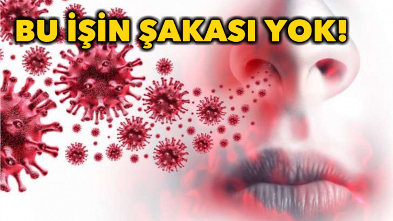9 AYDA İL GENELİNDE  415 CAN ALDI