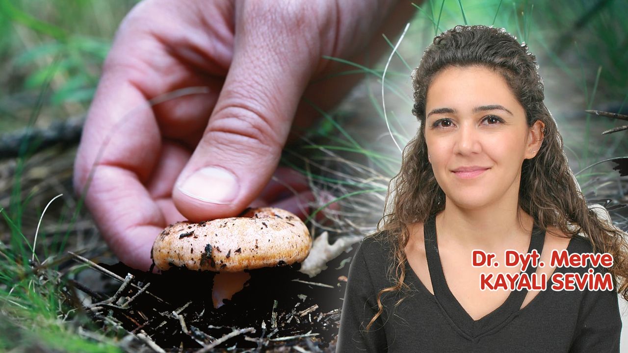 🍄 Kanlıca Mantarı: Doğanın Lezzetli ve Şifalı Hediyesi