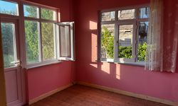 gallery_2