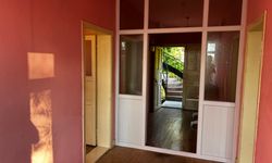 gallery_7