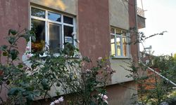gallery_9