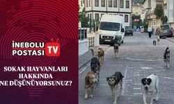 İnebolu’da sokak hayvanları konusunu vatandaşlara sorduk | İnebolu Postası sokak röportajı