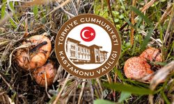 Kastamonu Valiliği’nden uyarı!