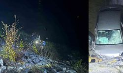 Otomobil şarampole yuvarlandı: 1 yaralı