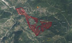 Ayva Köyünde büyük bir alan Orman sınırı dışına çıkarıldı!