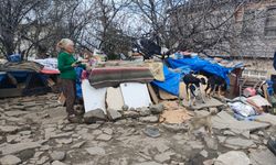 İnebolu Belediyesi'nden açıklama: “Hem Hayvan Refahı Hem Toplum Sağlığı Gözetildi”