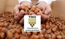 TMO İnebolu’da fındık alımları 8 Eylül’de başlıyor