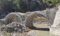 Yüzyıllık miras göz göre göre kayboluyor!