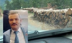 YRP'den odun ve tomruk uyarısı "Yeni bir felakete davetiye çıkarılmasın"