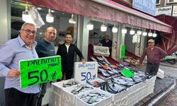 İnebolu’da palamut 40 liraya kadar düştü, vatandaş balığa doydu!