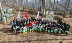 İnebolu’da Çocuklar Kayın Tohumlarını Toprakla Buluşturdu