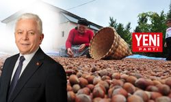 Yeni Parti İlçe Başkanı Cemal İlyasoğlu “Fındık üreticisinin alın teri heba ediliyor”