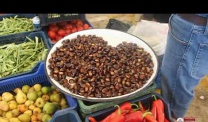 İNEBOLU YERLİ KESTANESİ PAZARA İNDİ