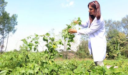 REİS GIDA, WORLD FOOD İSTANBUL’DA
