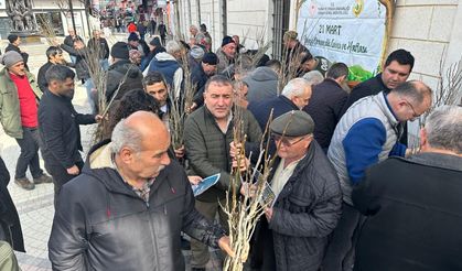 Ormancılık Haftası’nda İnebolu’da doğa için seferberlik