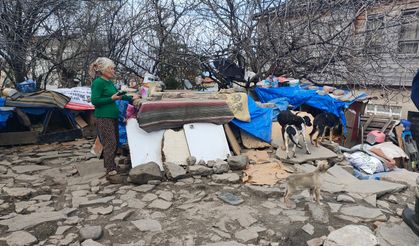 İnebolu Belediyesi'nden açıklama: “Hem Hayvan Refahı Hem Toplum Sağlığı Gözetildi”