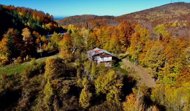 İNEBOLU’DA SONBAHAR RENK CÜMBÜŞÜ 🍁