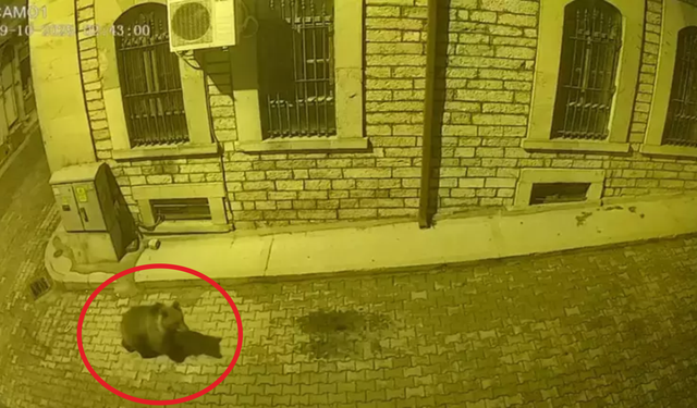 İnebolu'da kocaoğlan çarşıya indi!