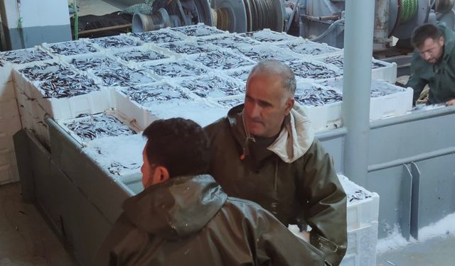 İnebolu’dan 440 ton hamsi karaya çıkartıldı