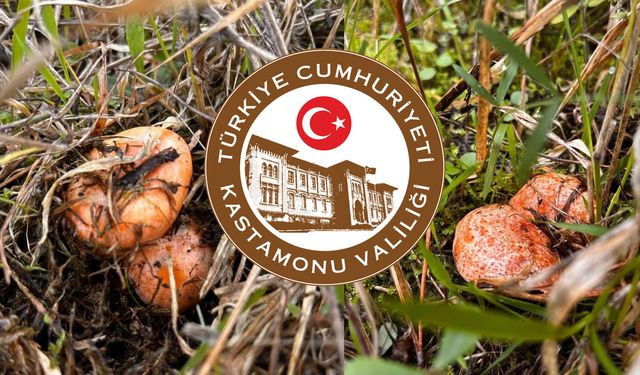 Kastamonu Valiliği’nden uyarı!