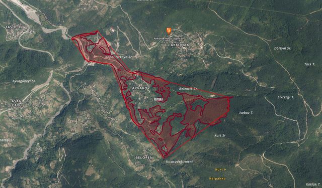Ayva Köyünde büyük bir alan Orman sınırı dışına çıkarıldı!