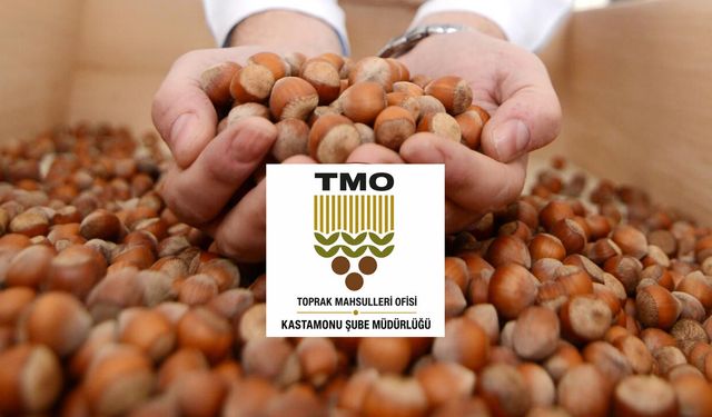 TMO İnebolu’da fındık alımları 8 Eylül’de başlıyor