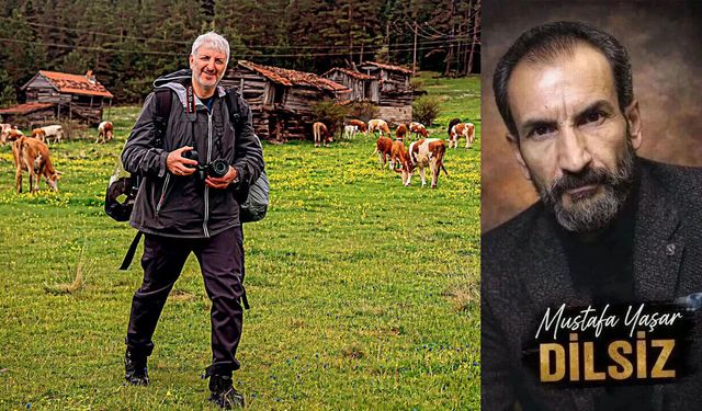 Bazı yollar insanla birlikte yürür