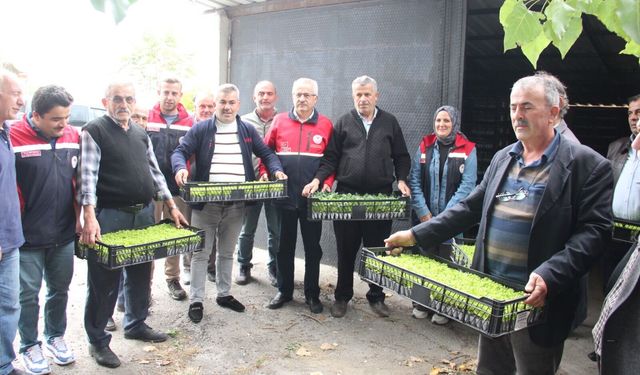 İnebolu’da 88 bin 400 sebze fidesi üreticilerle buluştu