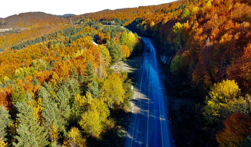 İNEBOLU ORMANLARINDA SONBAHAR RENKLERİ