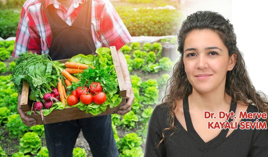 Pestisit Gerçeği: Sofralarımıza Kadar Gelen Gizli Tehlike