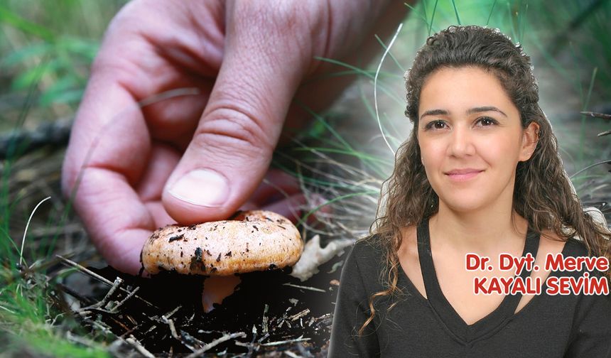 🍄 Kanlıca Mantarı: Doğanın Lezzetli ve Şifalı Hediyesi