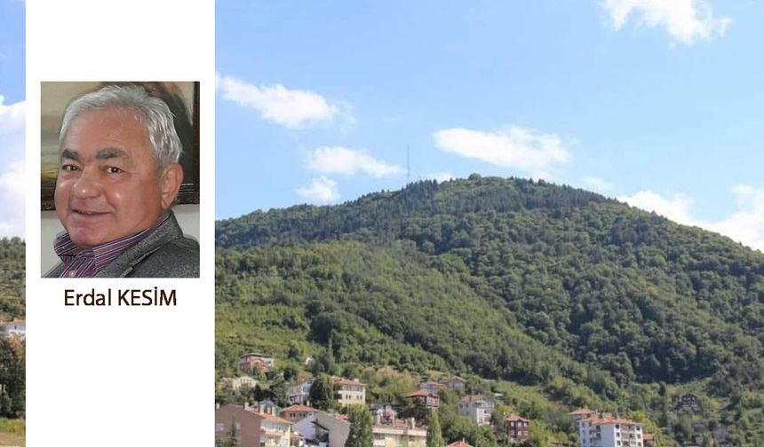 Ortak miras, ortak gelecek: İnebolu’da tarih ve hoşgörü köprüsü