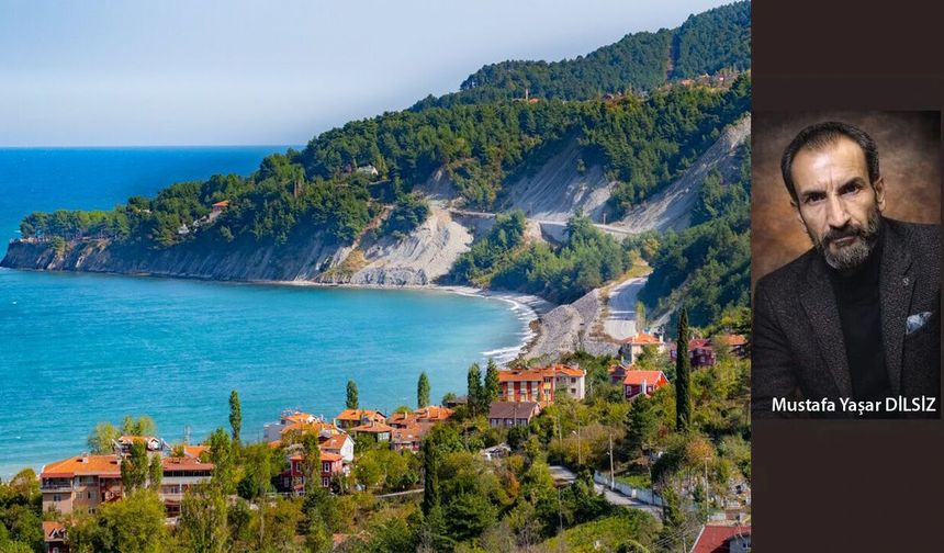 2050 Yılında İnebolu: Bir Kıyı Kasabasının Gelecek Senaryosu