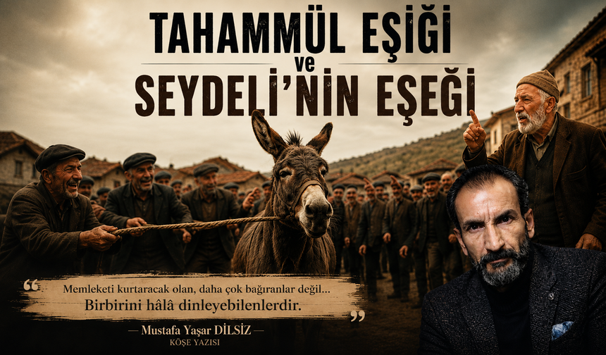 Tahammül Eşiği ve Seydeli'nin Eşeği