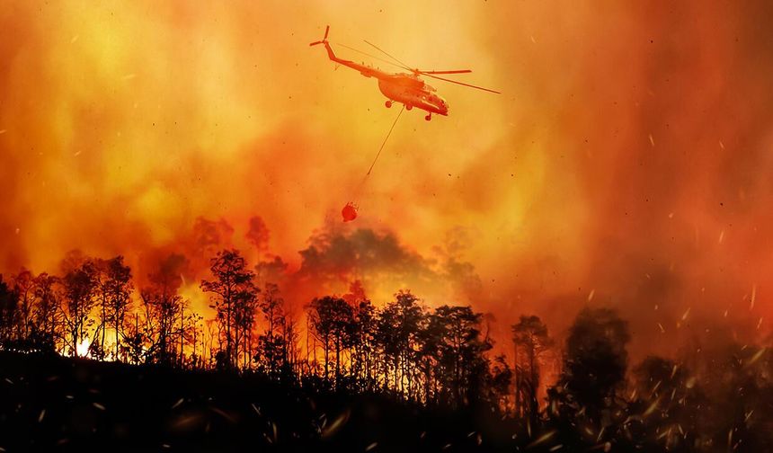 Kastamonu Valiliği'nden orman yangını uyarısı!