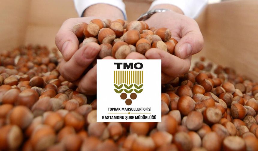 TMO İnebolu’da fındık alımları 8 Eylül’de başlıyor