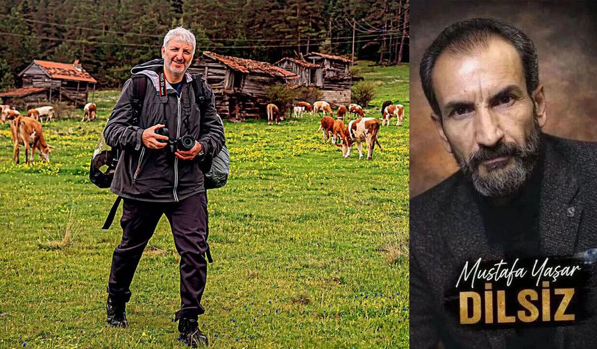 Bazı yollar insanla birlikte yürür