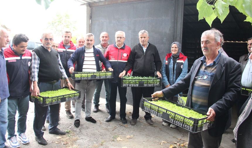 İnebolu’da 88 bin 400 sebze fidesi üreticilerle buluştu