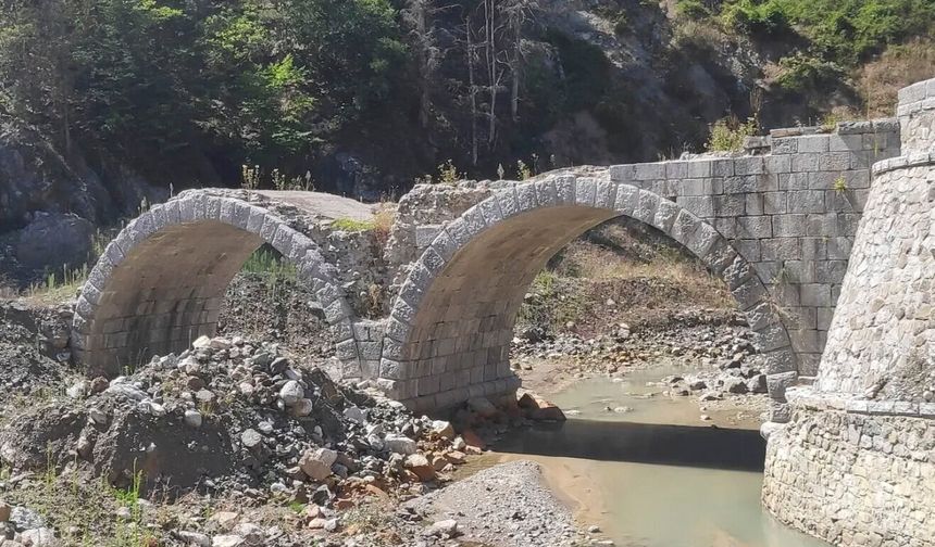 Yüzyıllık miras göz göre göre kayboluyor!