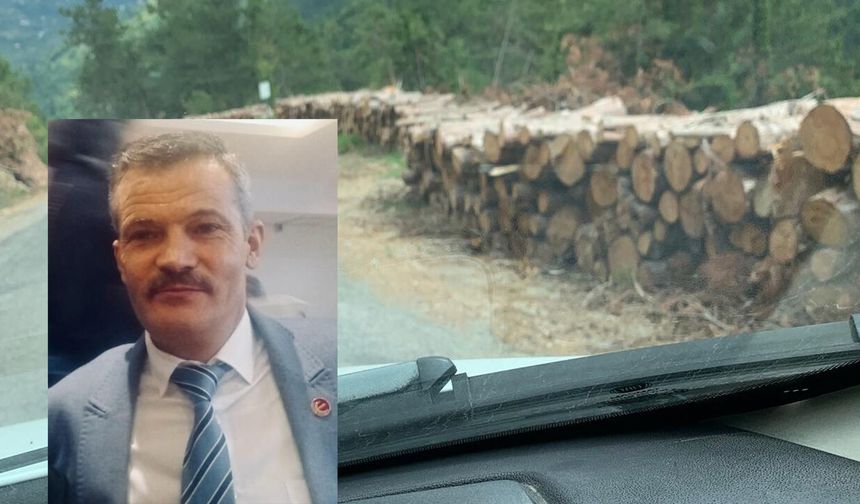 YRP'den odun ve tomruk uyarısı "Yeni bir felakete davetiye çıkarılmasın"