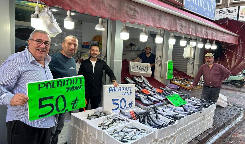 İnebolu’da palamut 40 liraya kadar düştü, vatandaş balığa doydu!
