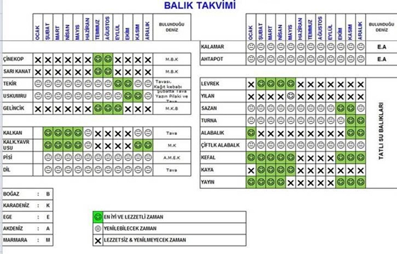 Balık-1
