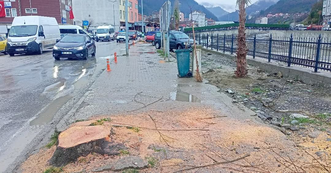 637754081 18395280811195065 6235863726481499923 N