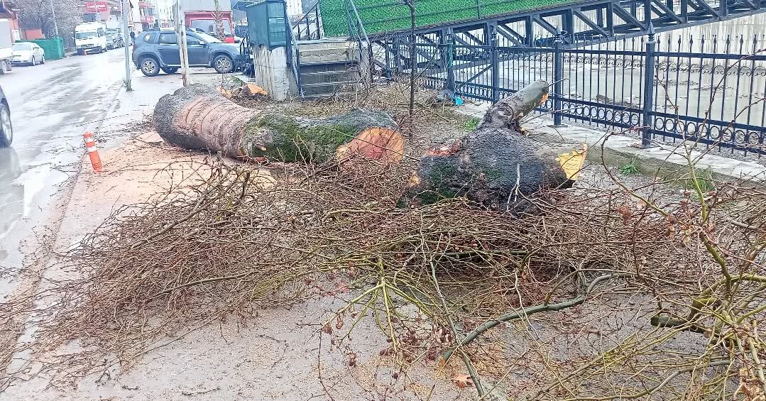 642489943 18395280802195065 2307497859936692316 N