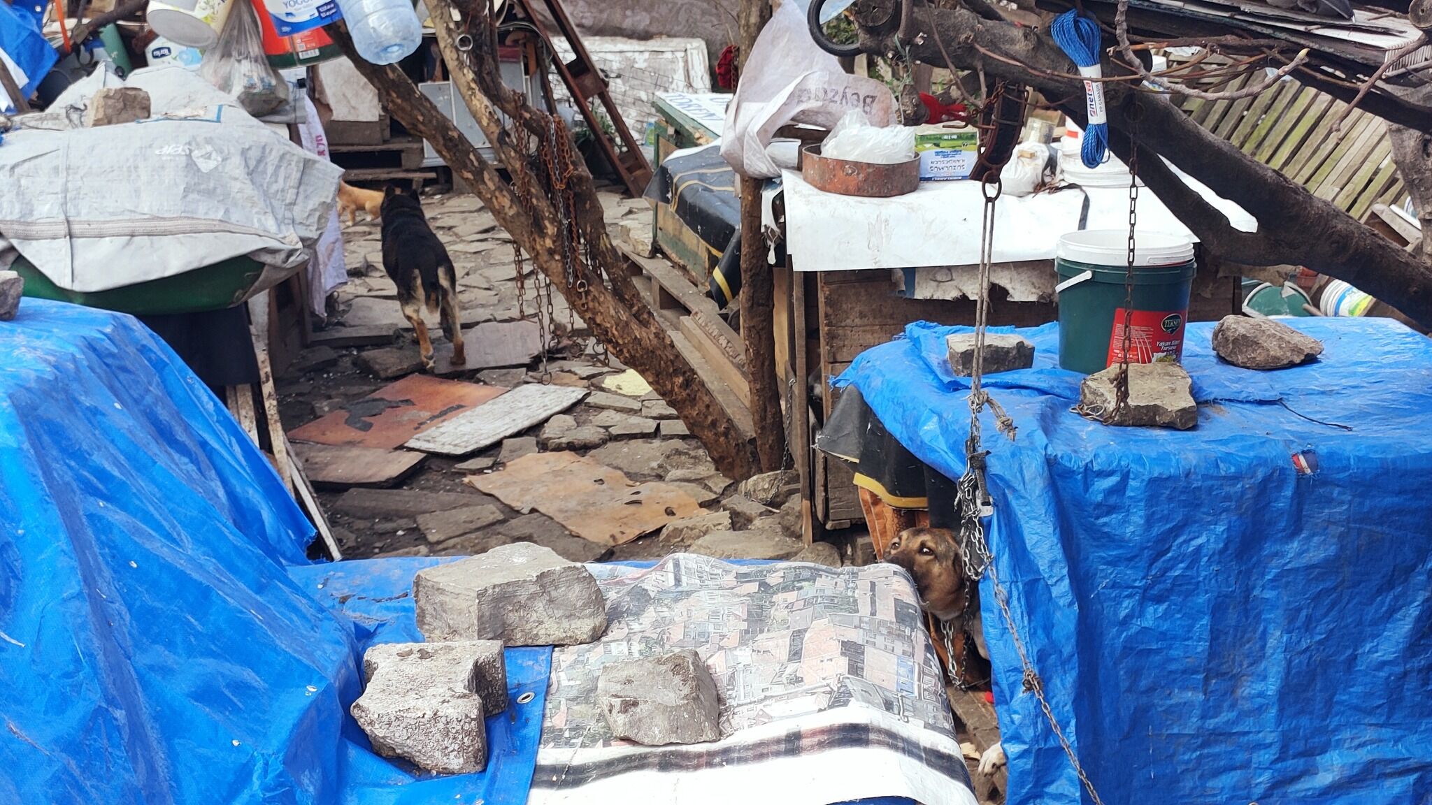 657607468 1357275923096455 5877451546228314612 N