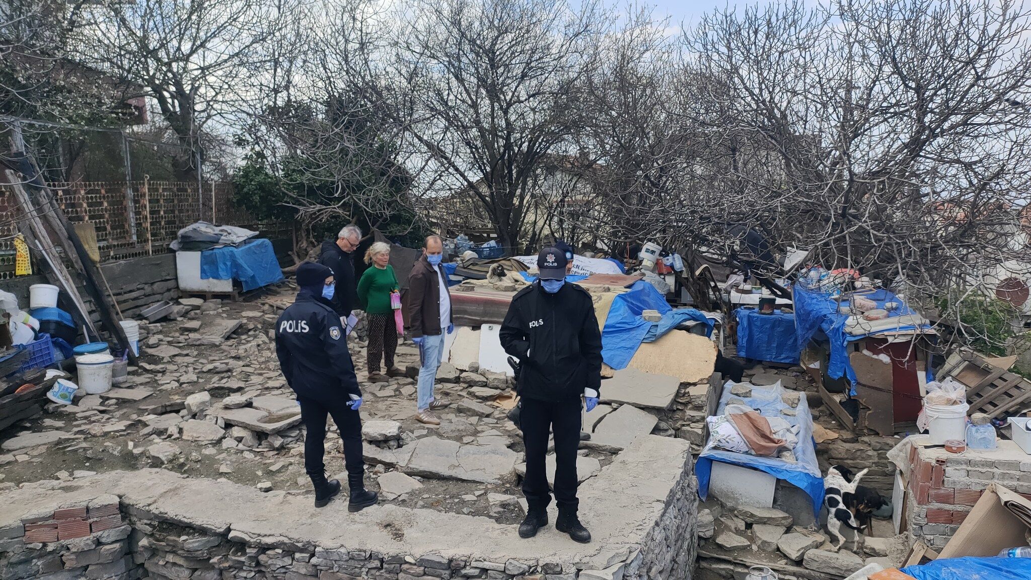 658905077 1357275943096453 2533270658133827982 N