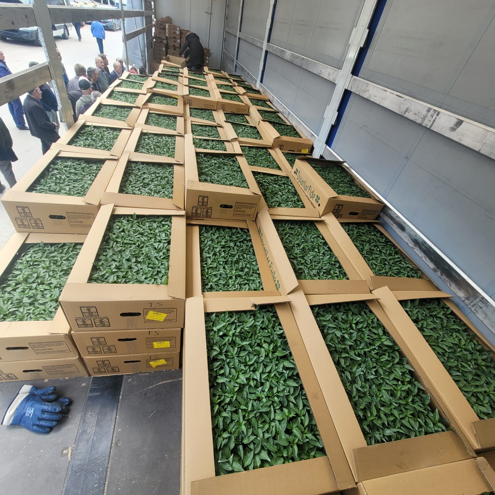 Whatsapp Image 2026 04 24 At 15.32.17